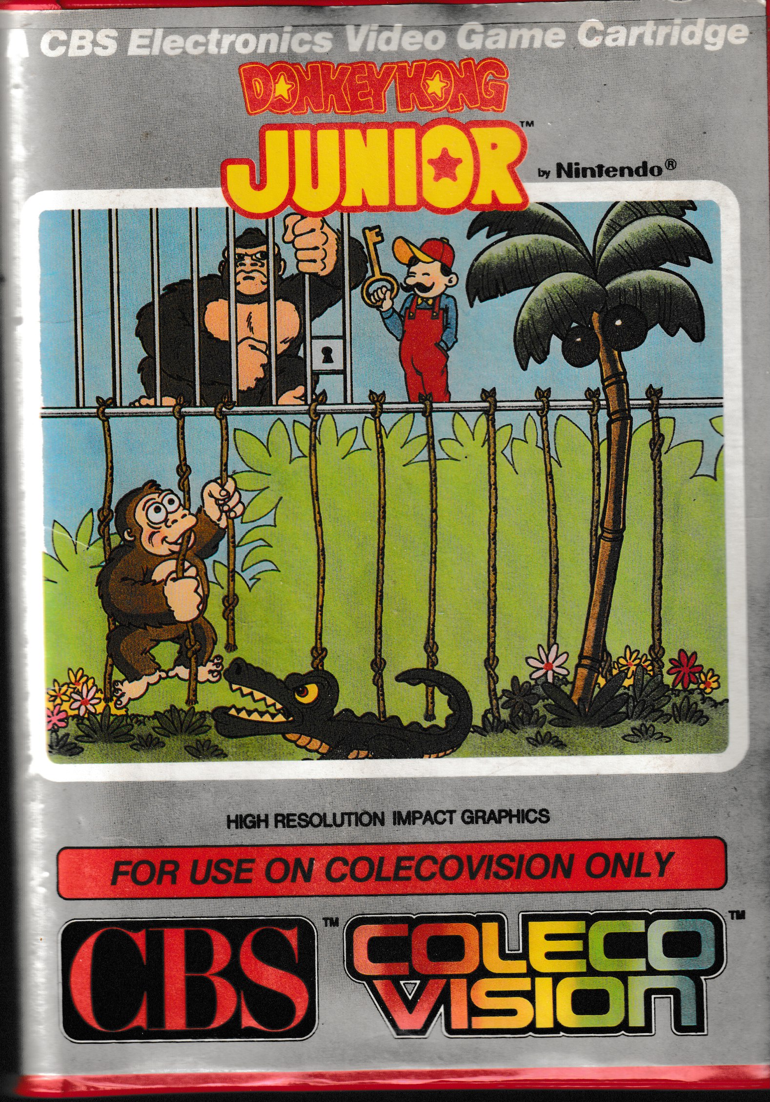 Donkey Kong Junior