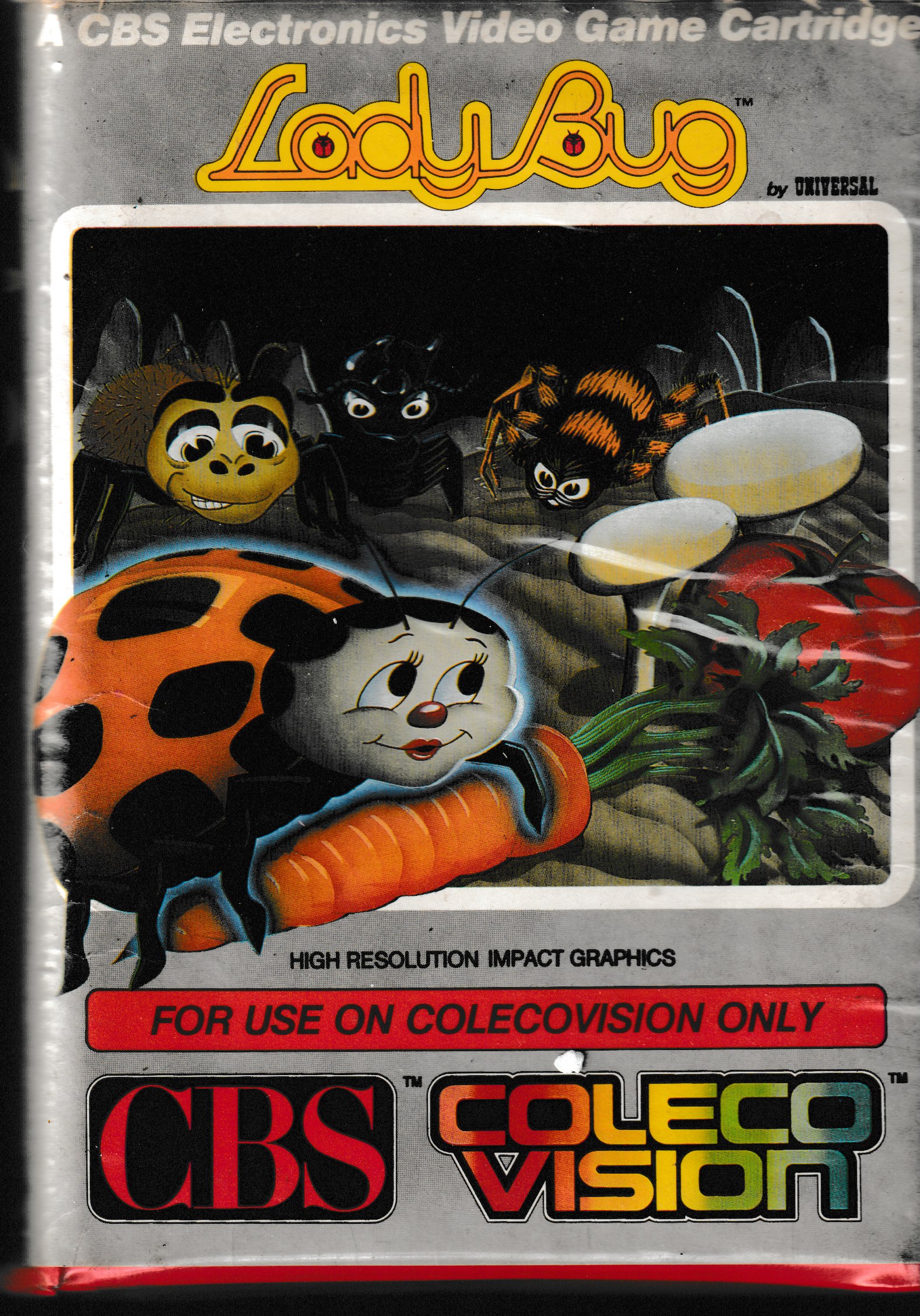 Lady Bug