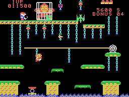 Donkey Kong Junior (AR) Screenshot 5