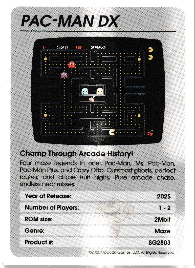 Pac-Man DX Insert 2