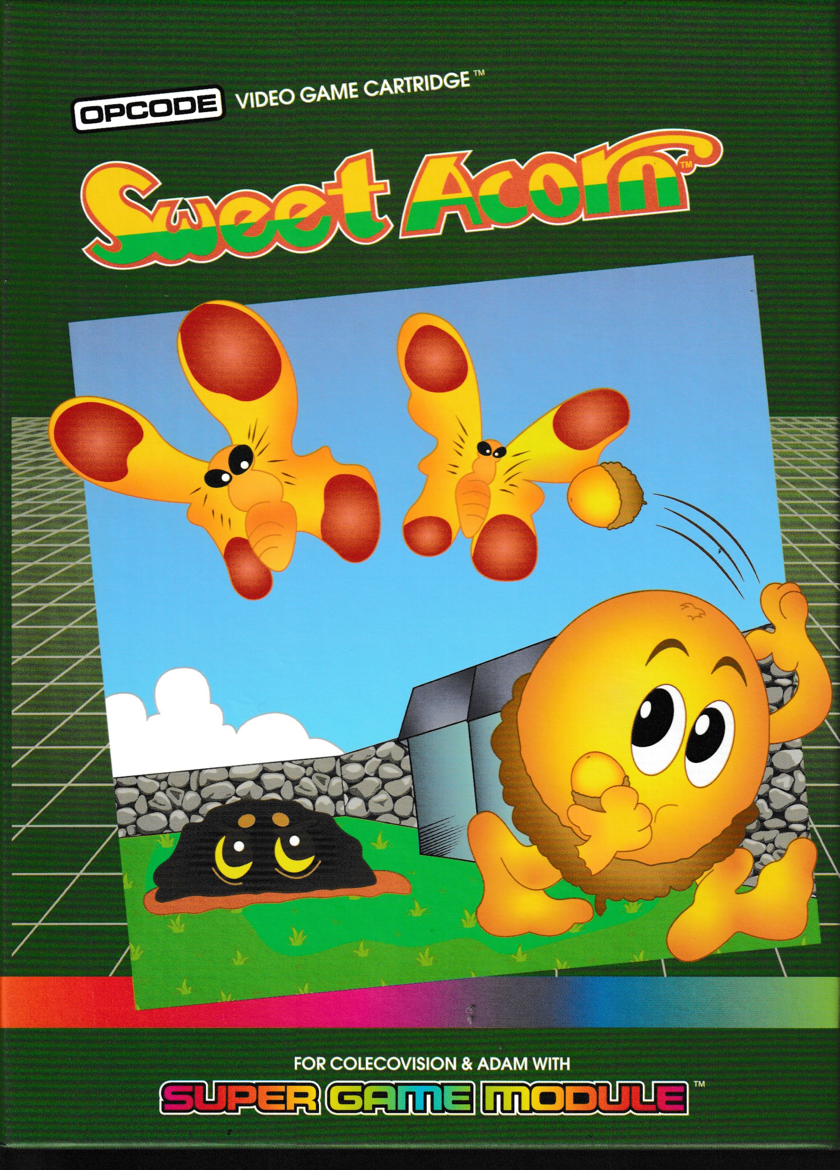 Sweet Acorn