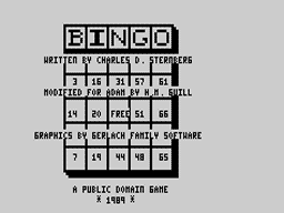 Bingo Screenshot 1