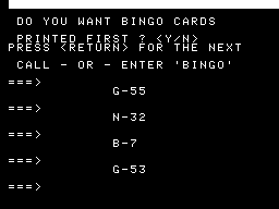 Bingo Screenshot 2