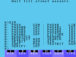 Nevada Pascal v4.1 Screenshot 1