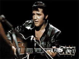 Midi Collection - Elvis Screenshot 1
