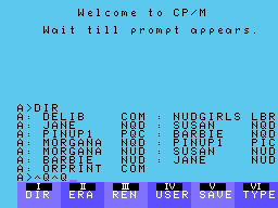 CP/M Nude Girl Pics Screenshot 1