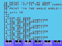 Microsoft BASIC v4.51 Screenshot 2